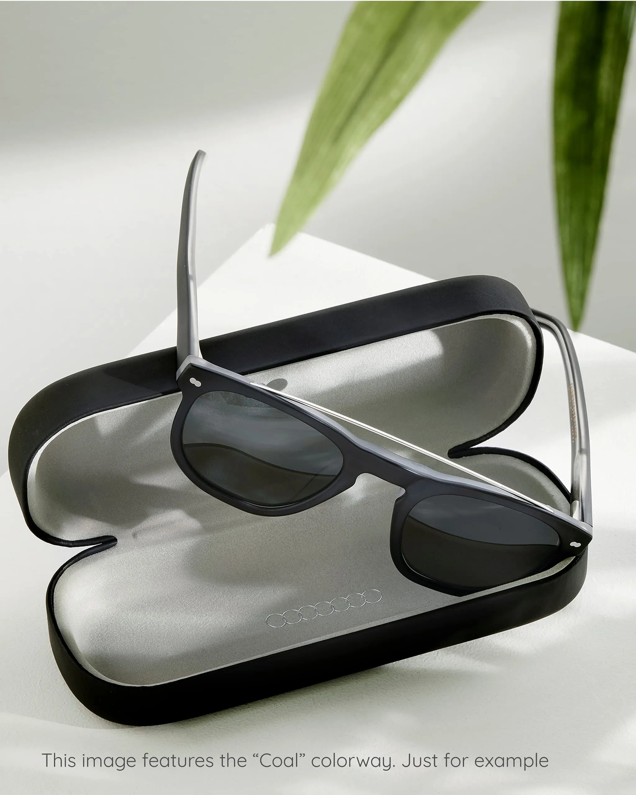 Christopher Cloos x Brady Hermosa Polarized Biodegradable Sunglasses