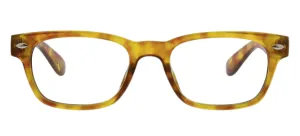 Clark Glasses