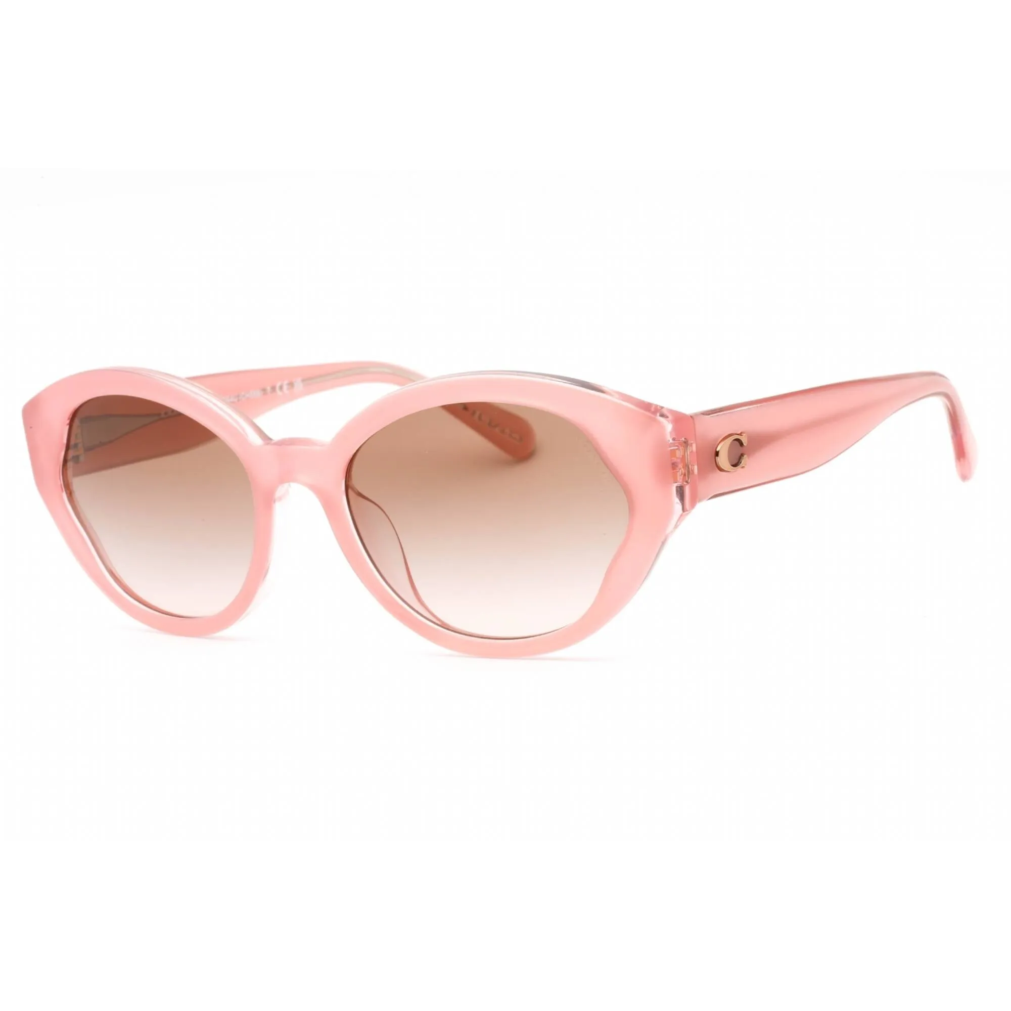Coach Women's Sunglasses - Frosted Pink Cat Eye Shape Plastic Frame | 0HC8364U 574313