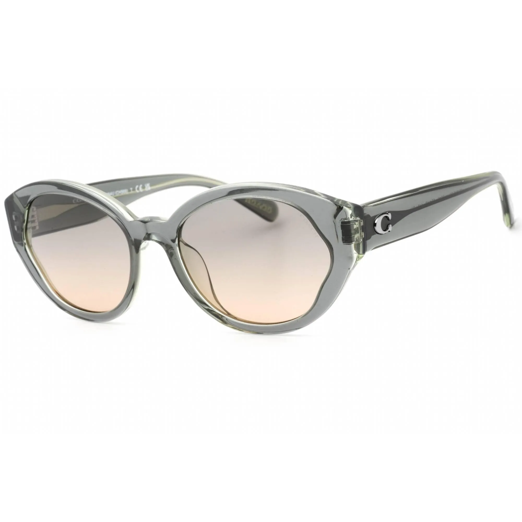 Coach Women's Sunglasses - Moss Plastic Full Rim Cat Eye Frame | 0HC8364U 574613