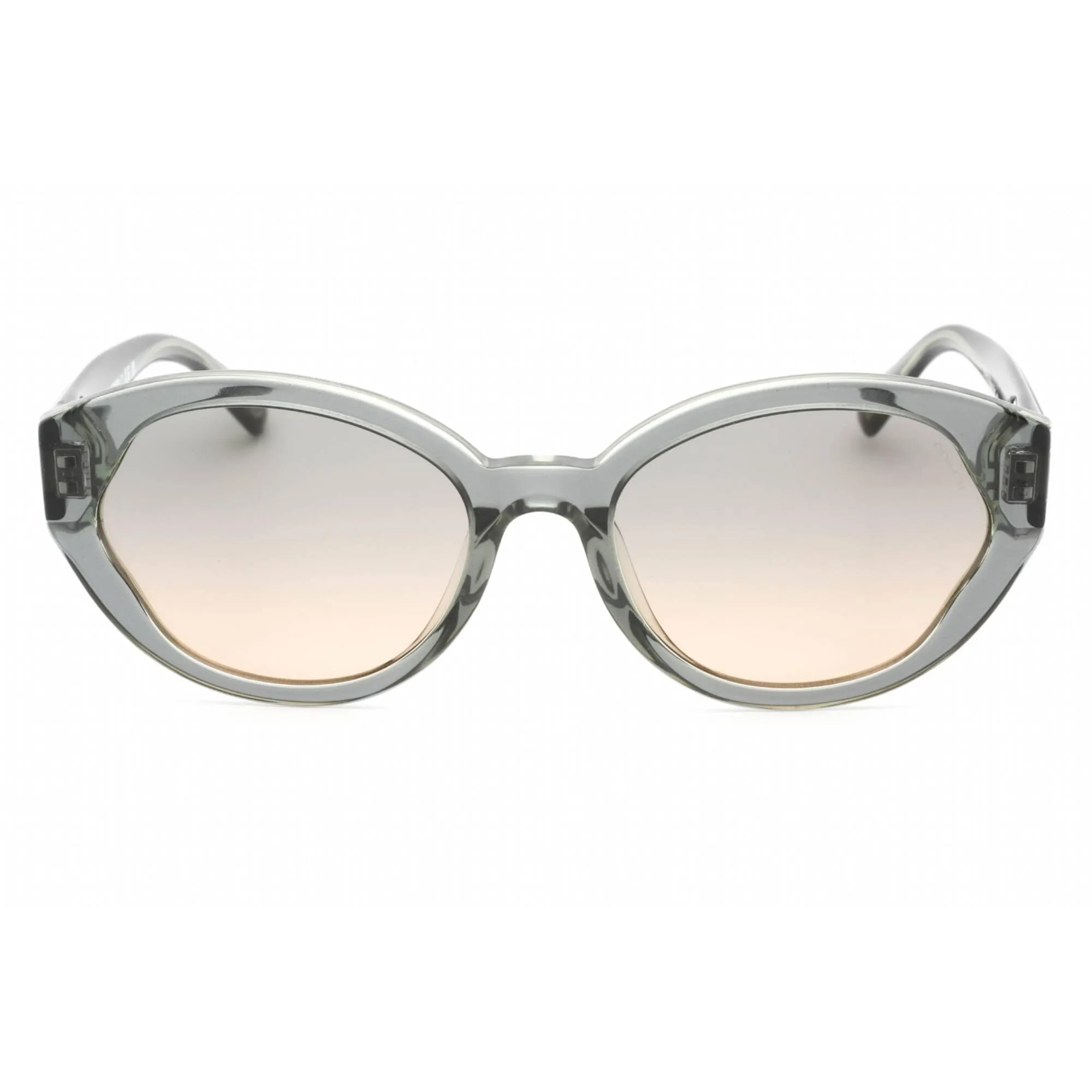 Coach Women's Sunglasses - Moss Plastic Full Rim Cat Eye Frame | 0HC8364U 574613