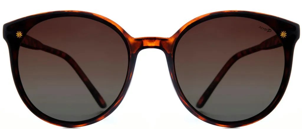 Corona Avenue Polarized