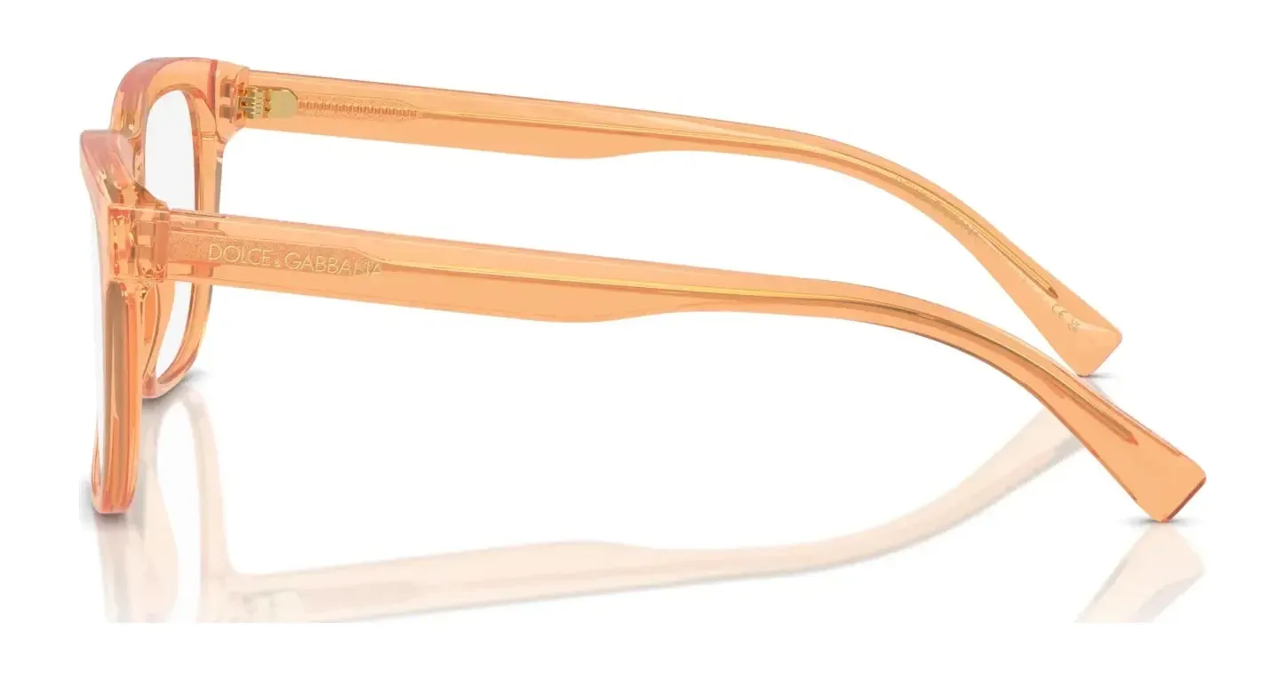 Dolce&Gabbana DX3356 Eyeglasses