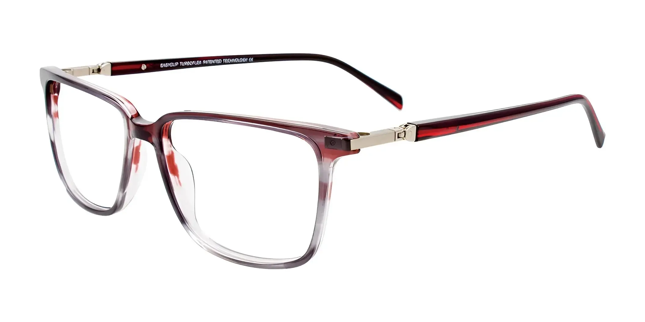 EasyClip EC589 Eyeglasses with Clip-on Sunglasses | Size 55