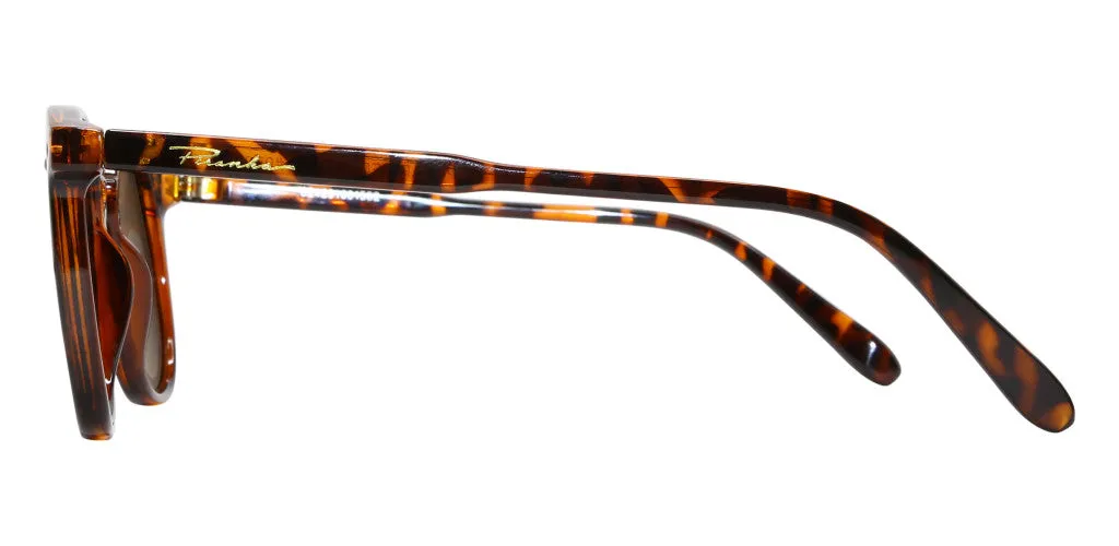 Fleming Polarized