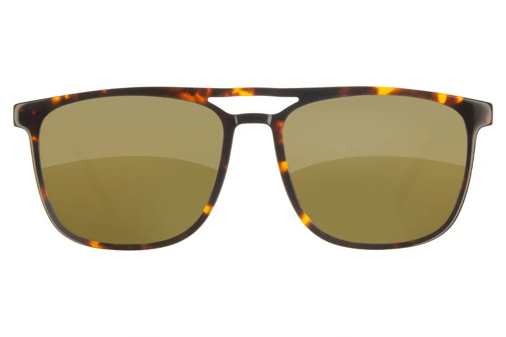 Fuse Prescription Long Point Sunglasses | Gloss Tortoise