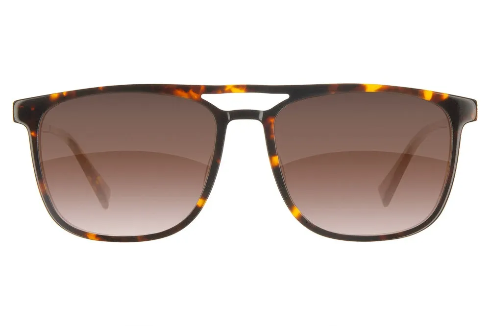 Fuse Prescription Long Point Sunglasses | Gloss Tortoise