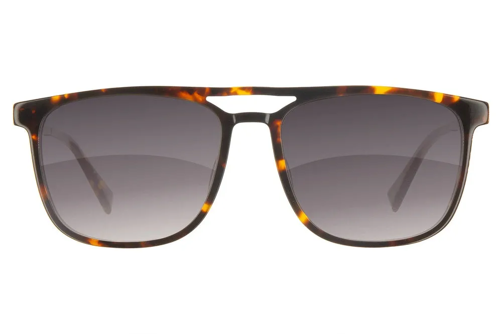 Fuse Prescription Long Point Sunglasses | Gloss Tortoise