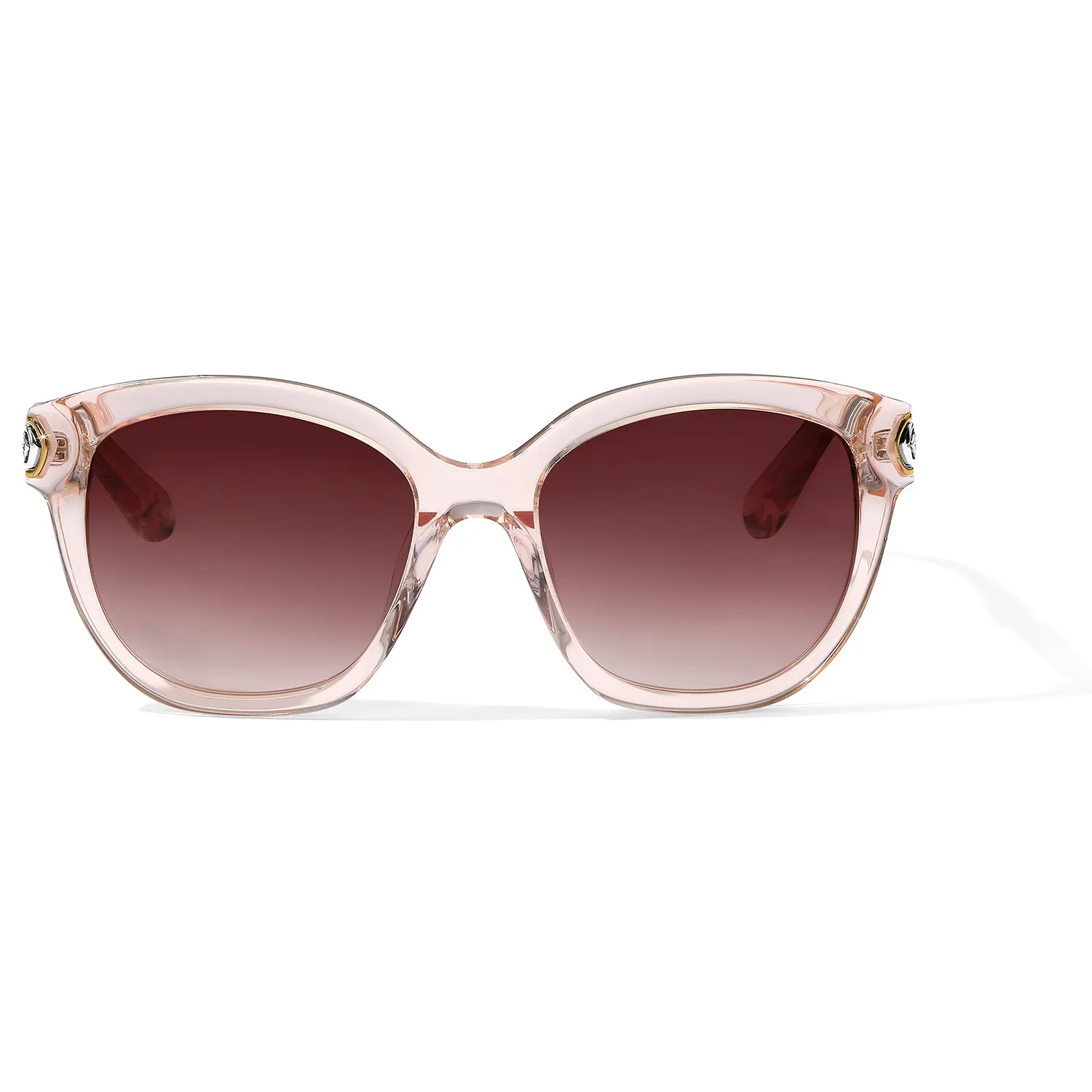Intrigue Sunglasses - A13230