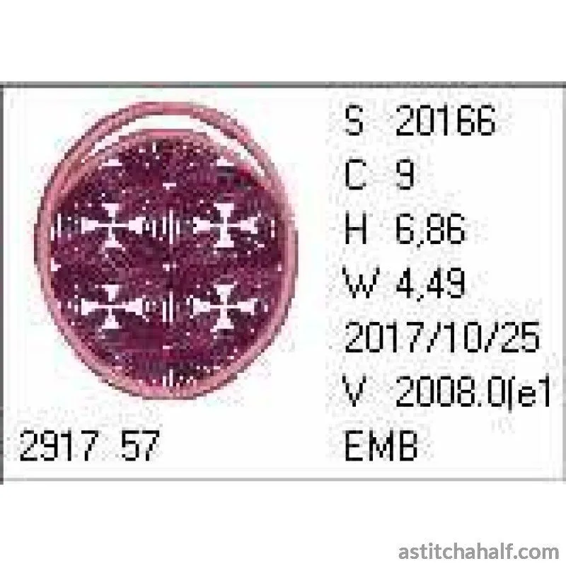 ITH Abstract Orchid Eyeglass Case
