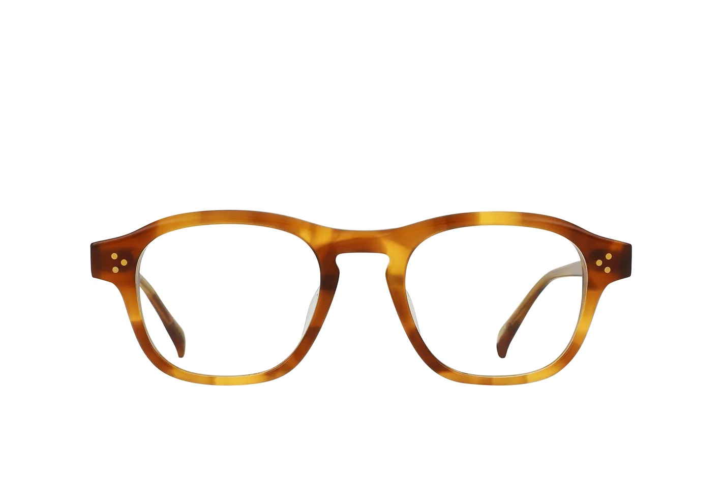 Lavoy-Santa Fe Tortoise / Clear-49