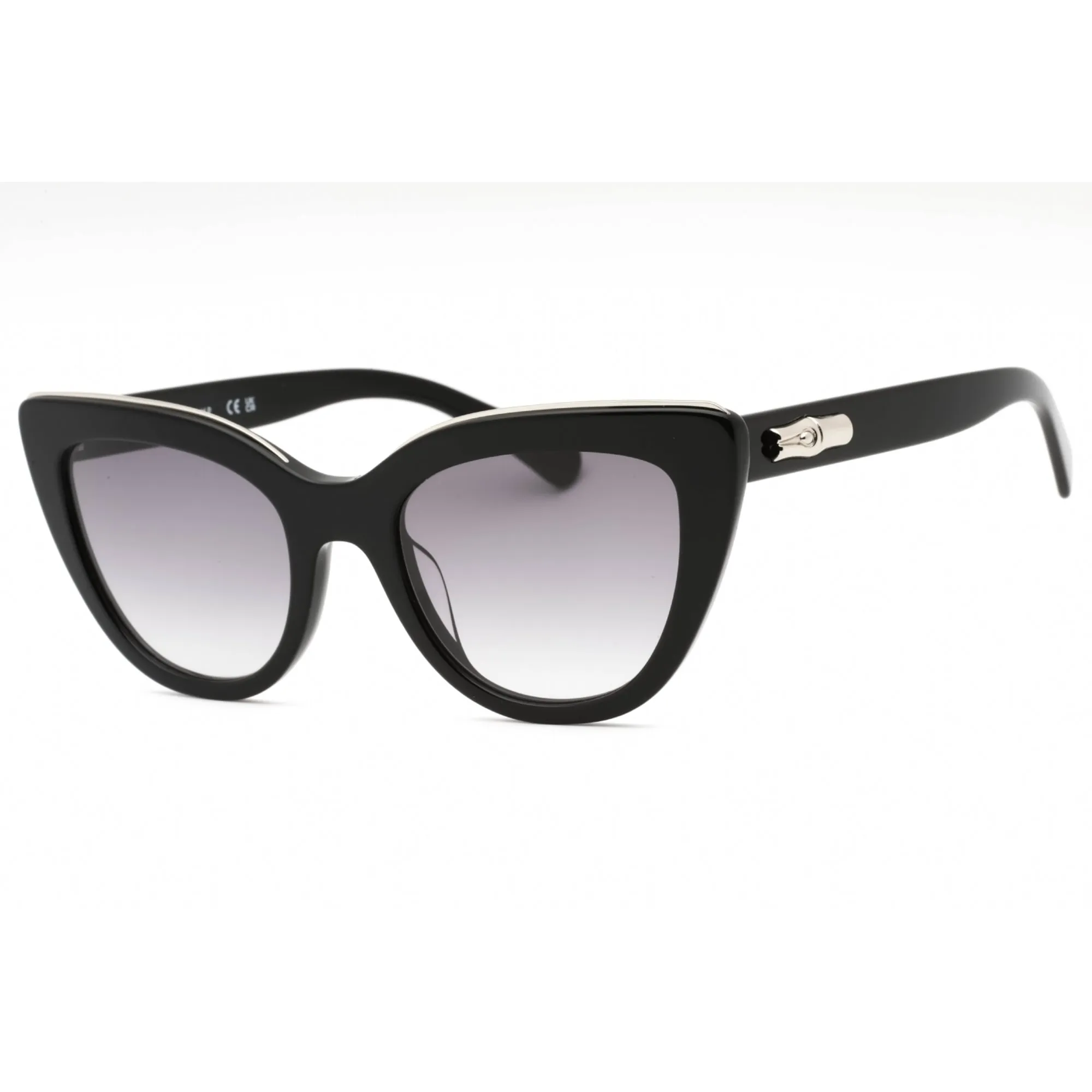 Longchamp Women's Sunglasses - Black Plastic Cat Eye Full Rim Shape Frame | LO686S 001