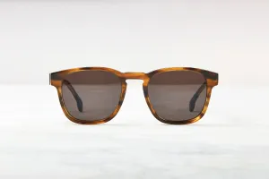 Marseille - Polarised Brown Shells