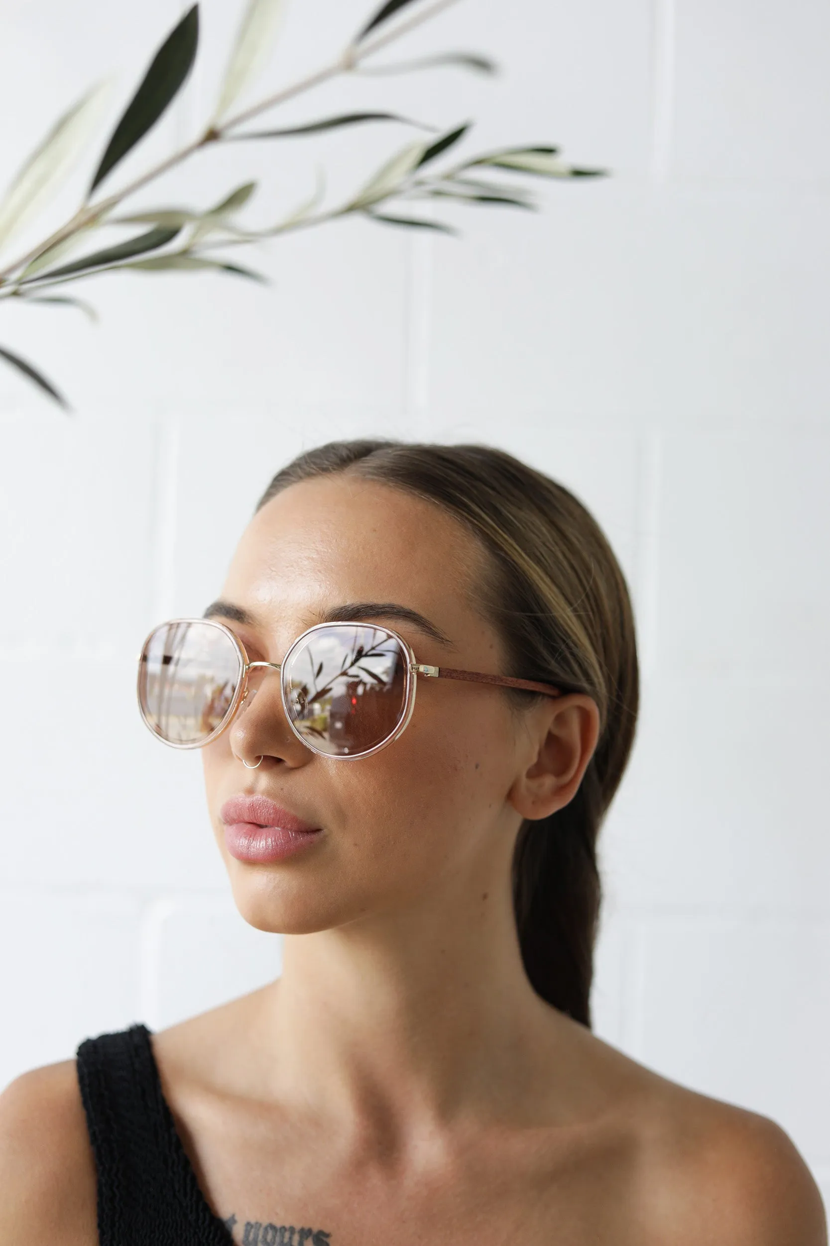MONTANA SUNGLASSES