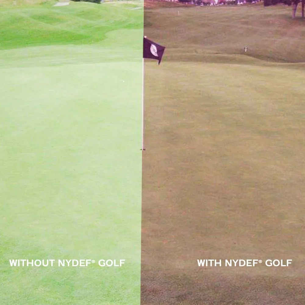 NYDEF® GOLF | POPGEAR | Purple