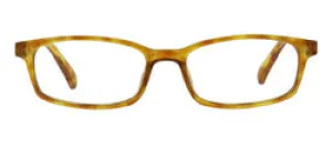 Paragon Honey Tortoise