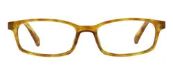 Paragon Honey Tortoise