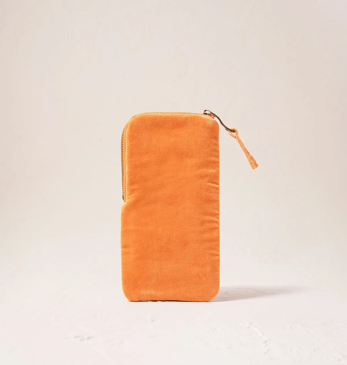 Pineapple Glasses Case