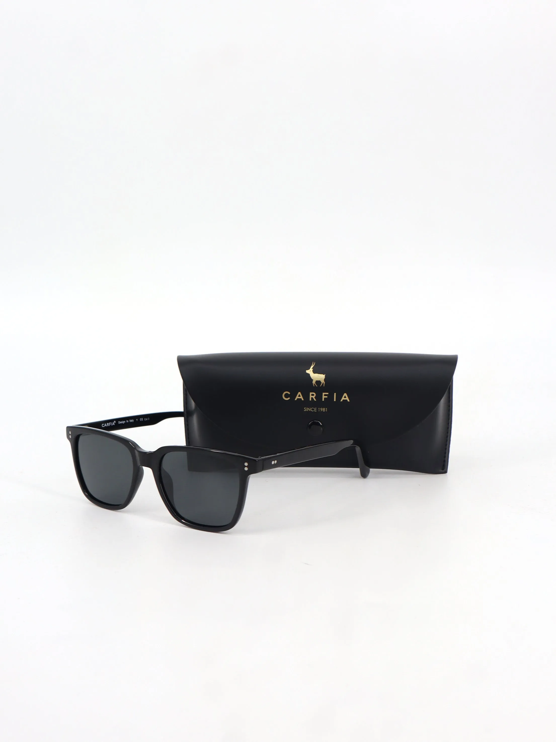 Polarized Sunglasses