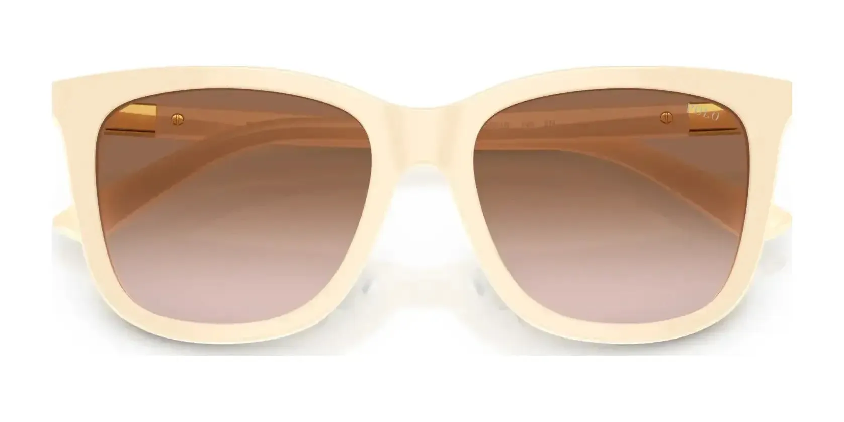 Polo PH4201U Sunglasses | Size 55
