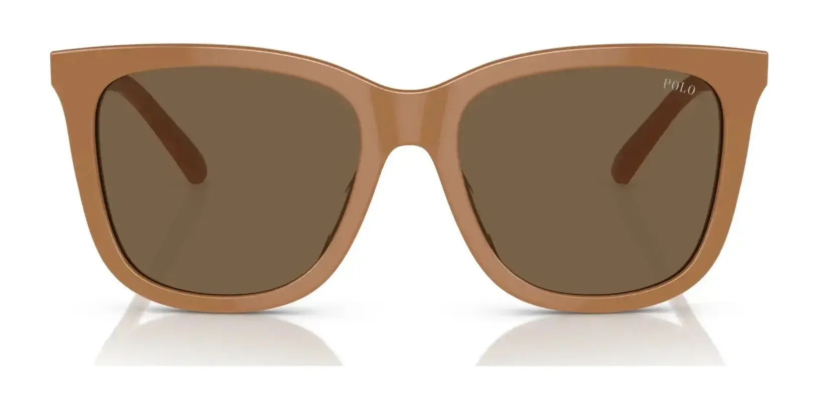 Polo PH4201U Sunglasses | Size 55