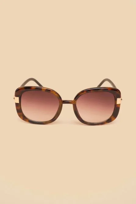 Powder Designs | Paige Sunglasses