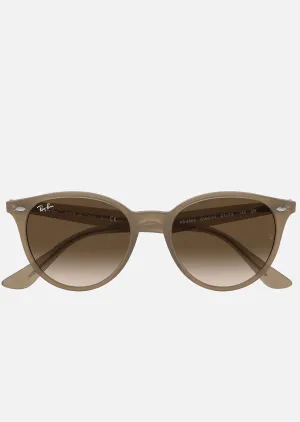 Ray-Ban RB4305 Sunglasses