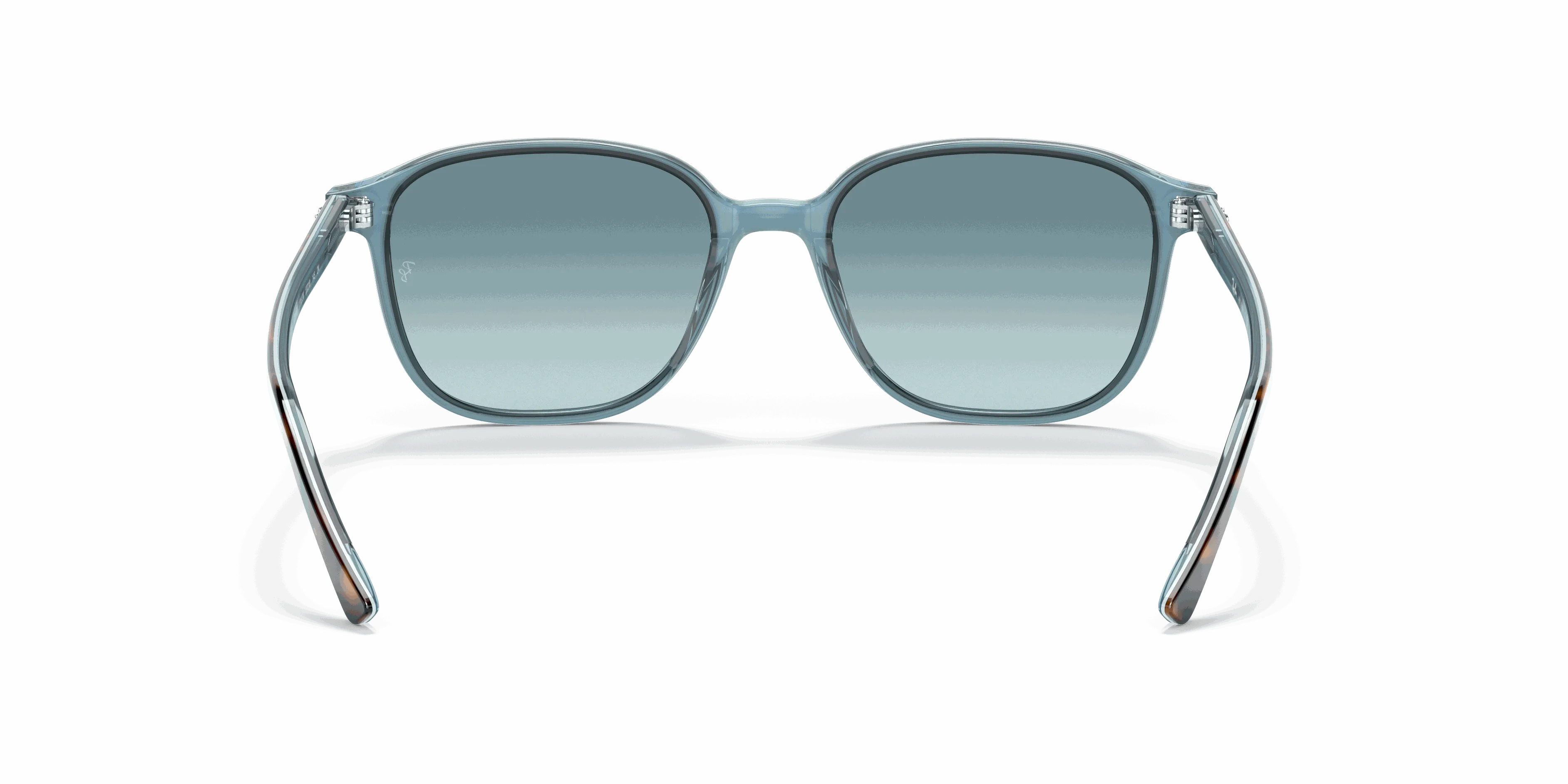 RayBan LEONARD