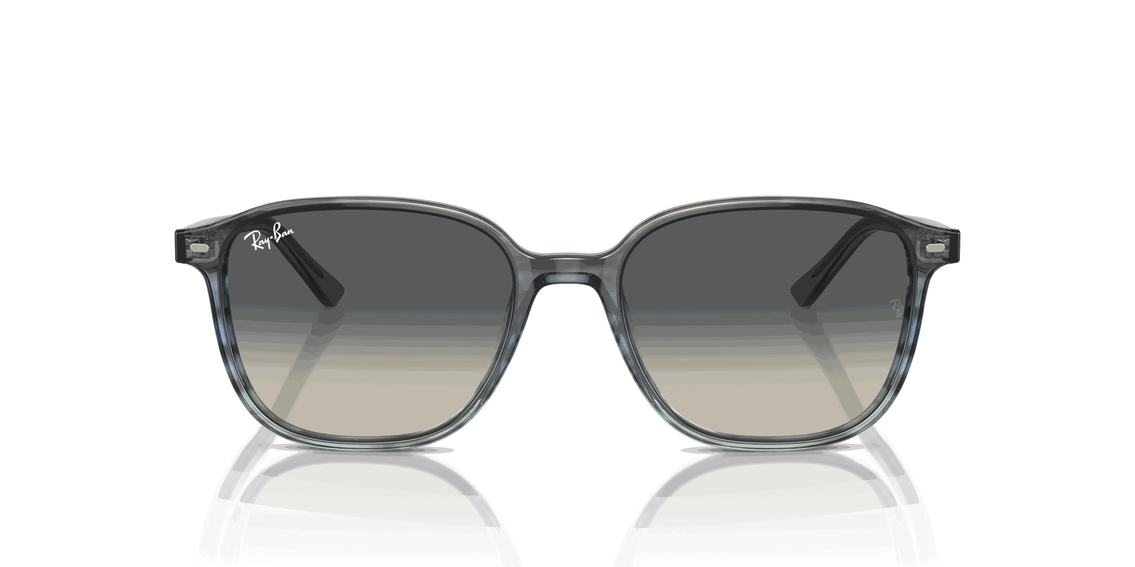 RayBan LEONARD