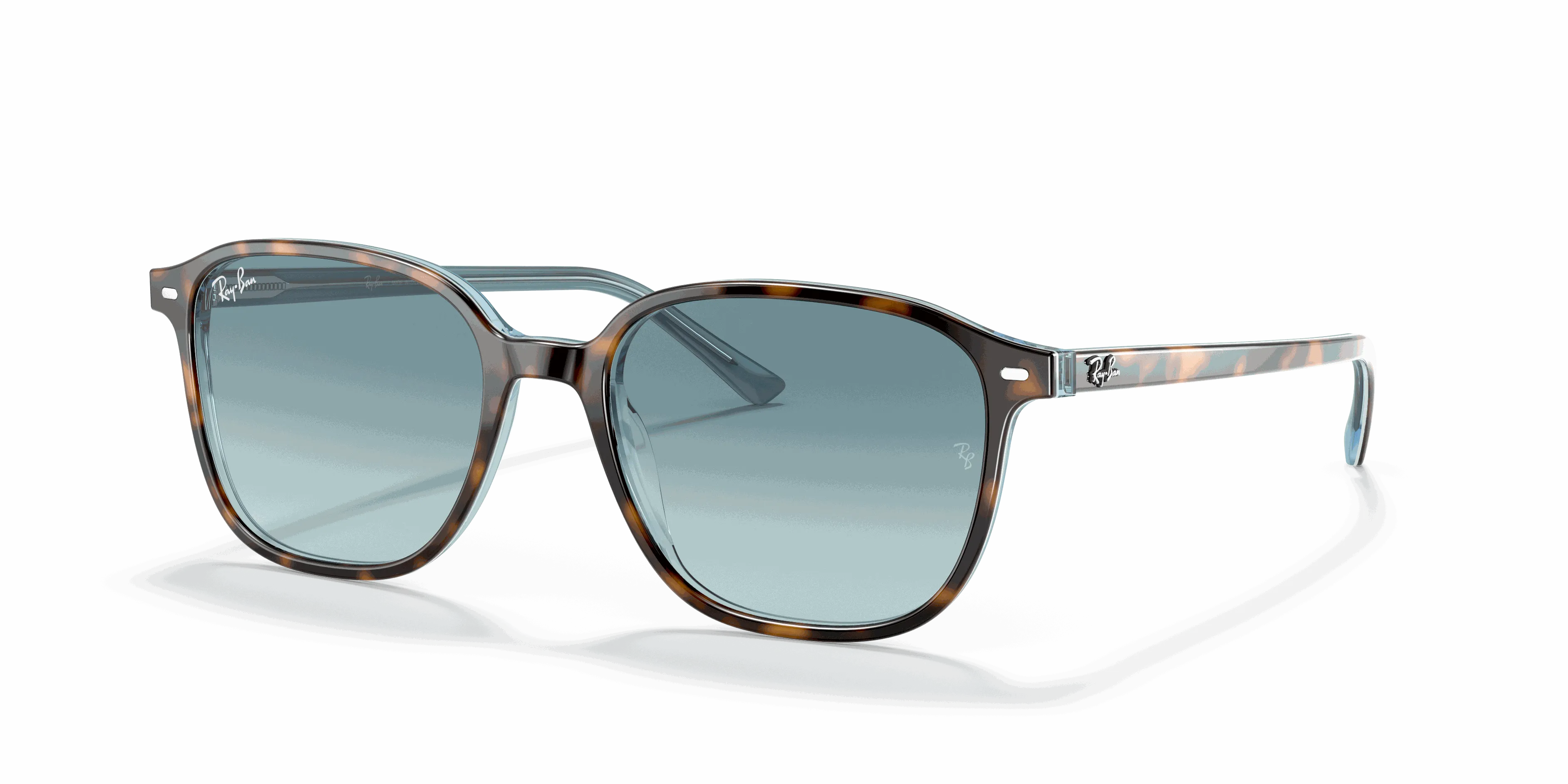 RayBan LEONARD