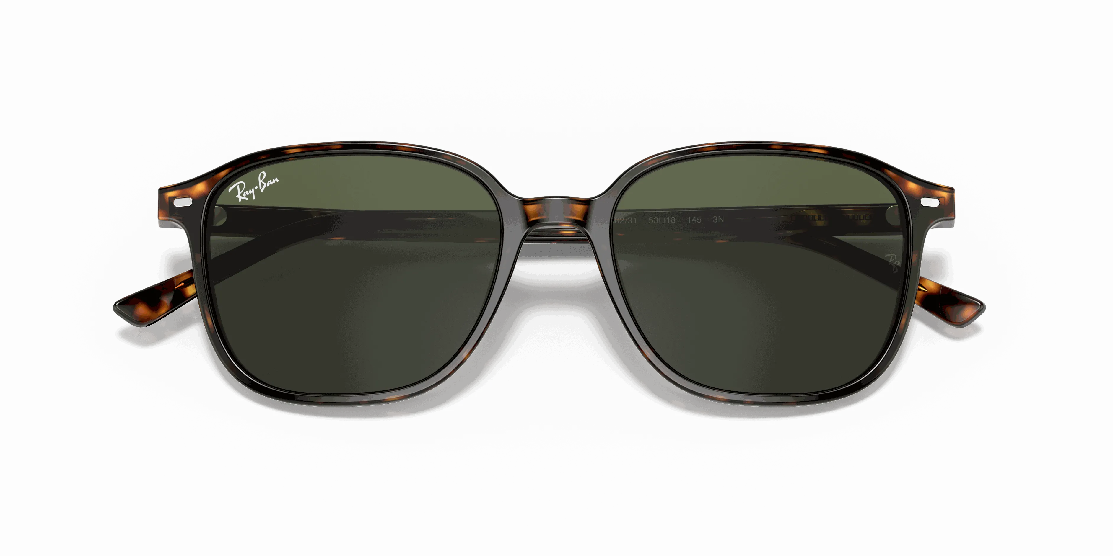 RayBan LEONARD