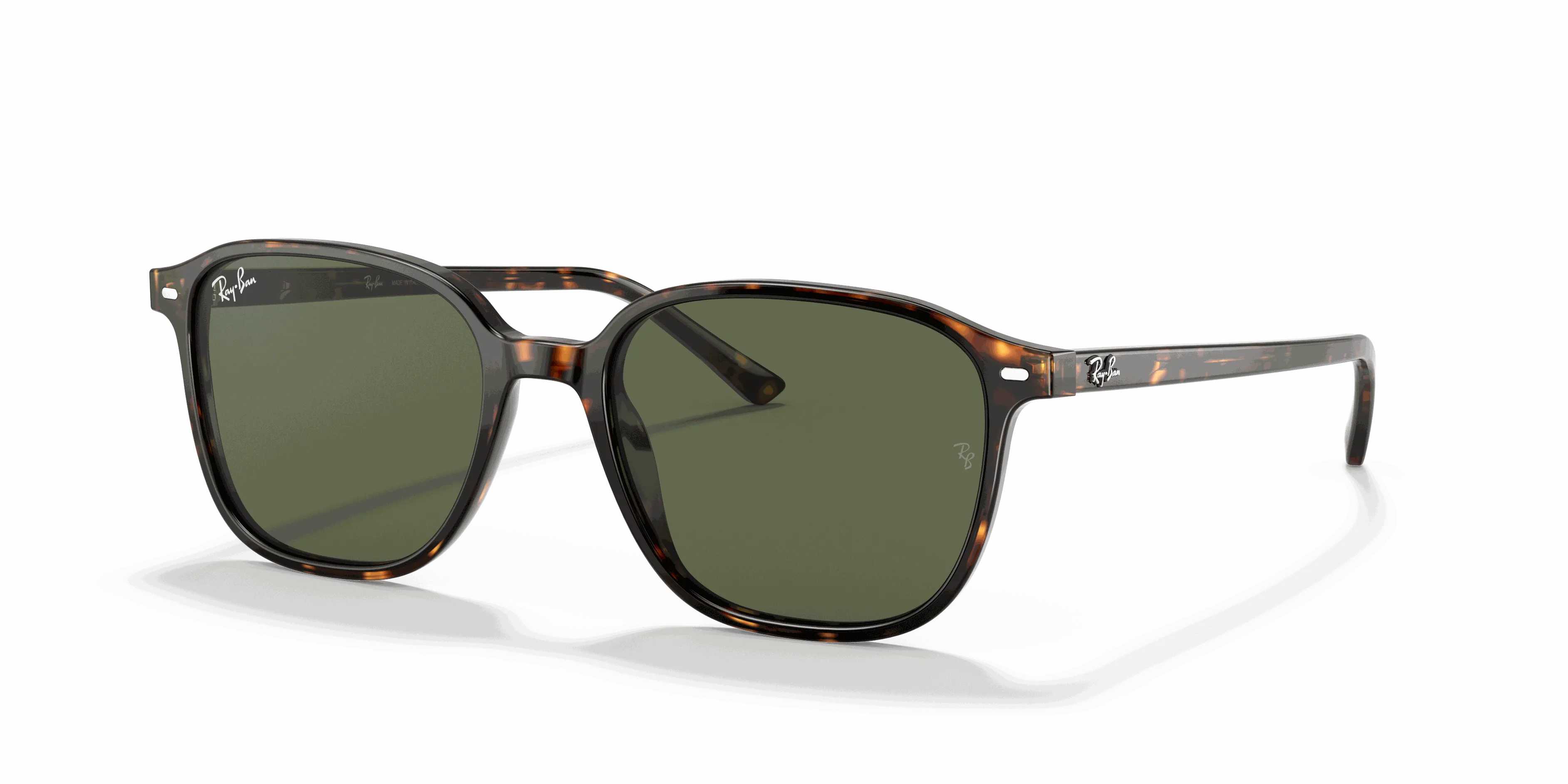 RayBan LEONARD