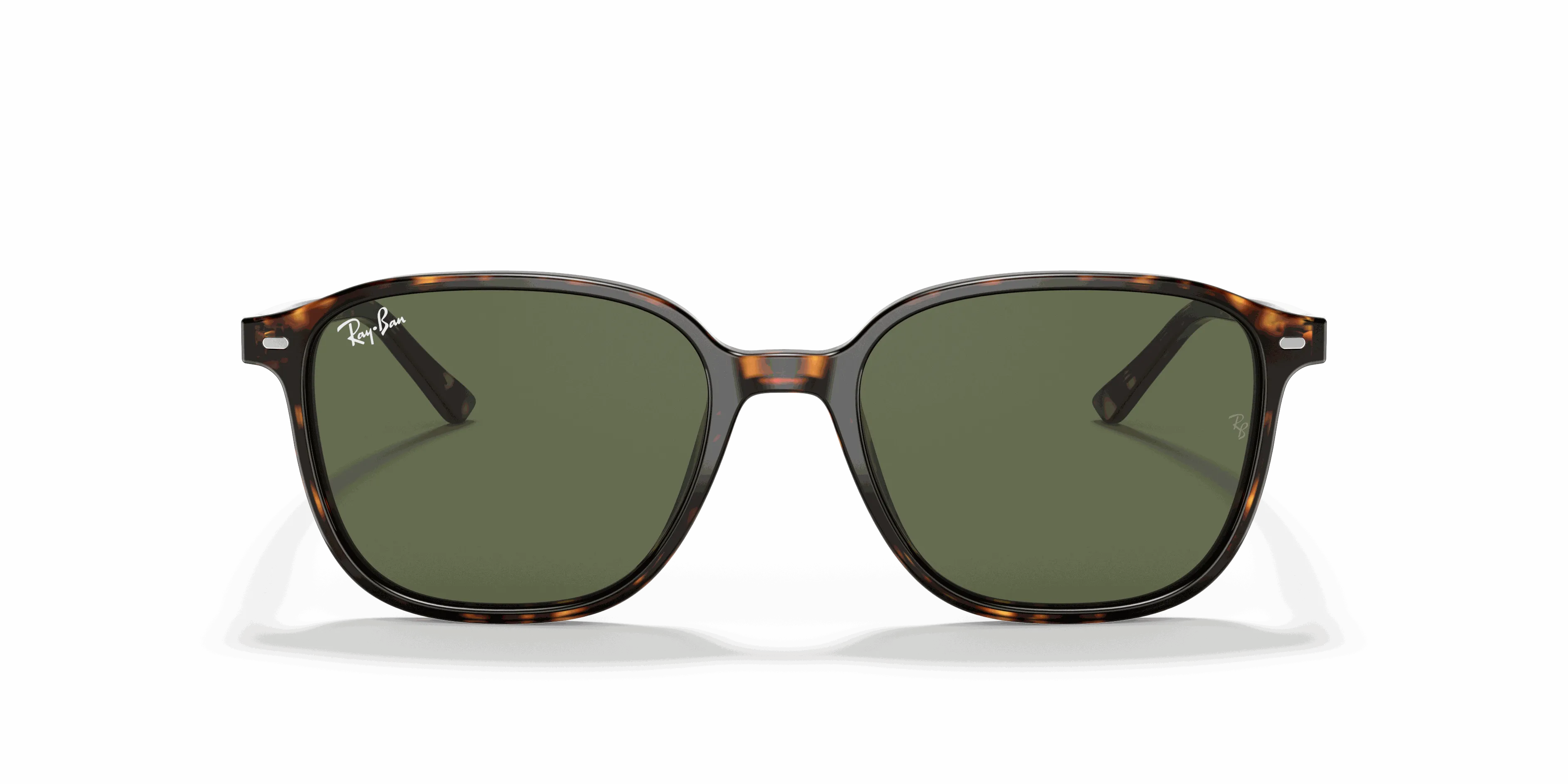 RayBan LEONARD