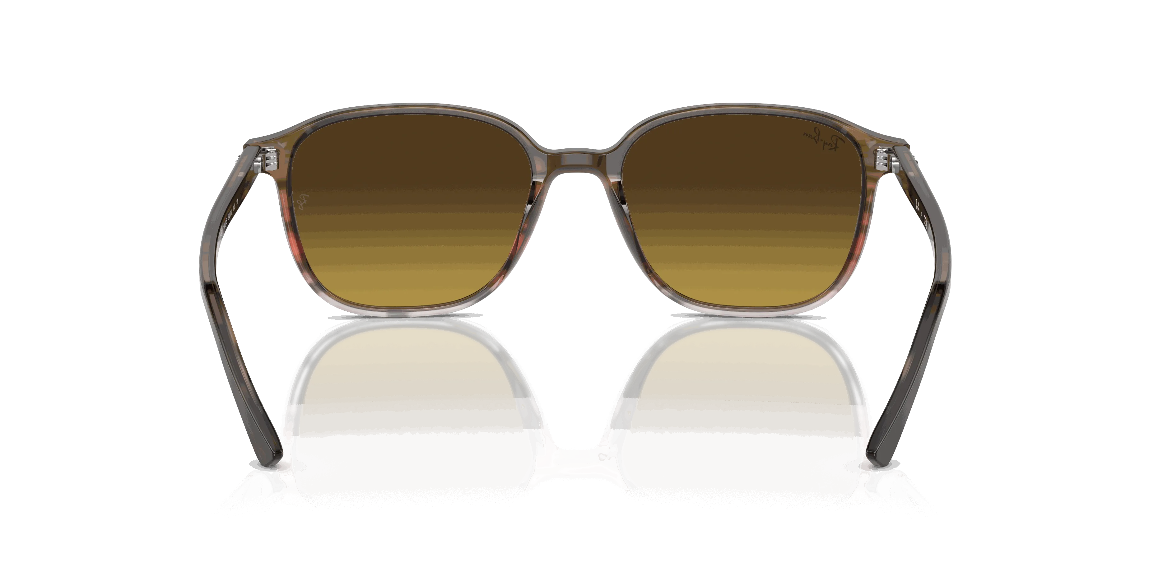 RayBan LEONARD