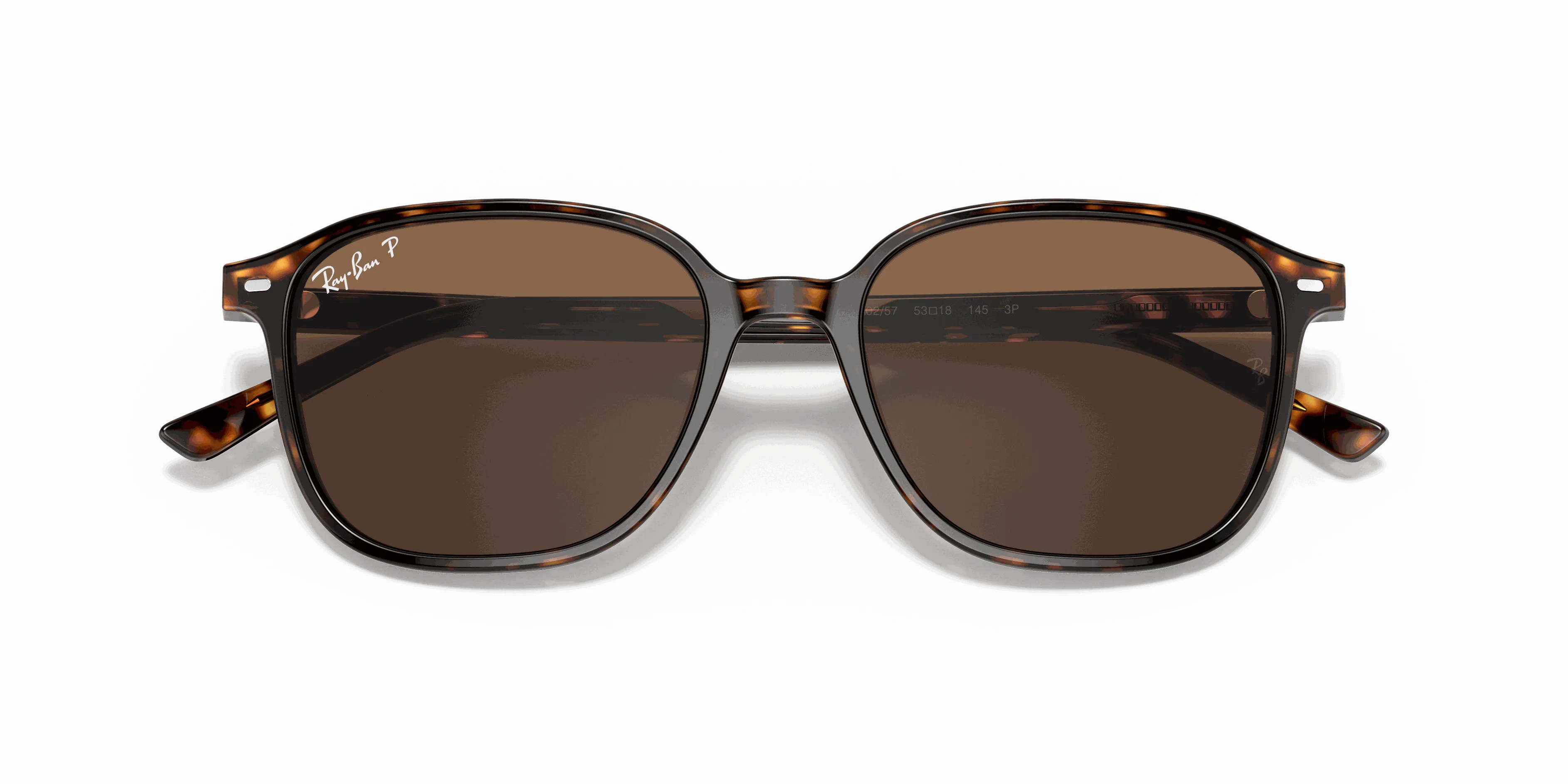 RayBan LEONARD