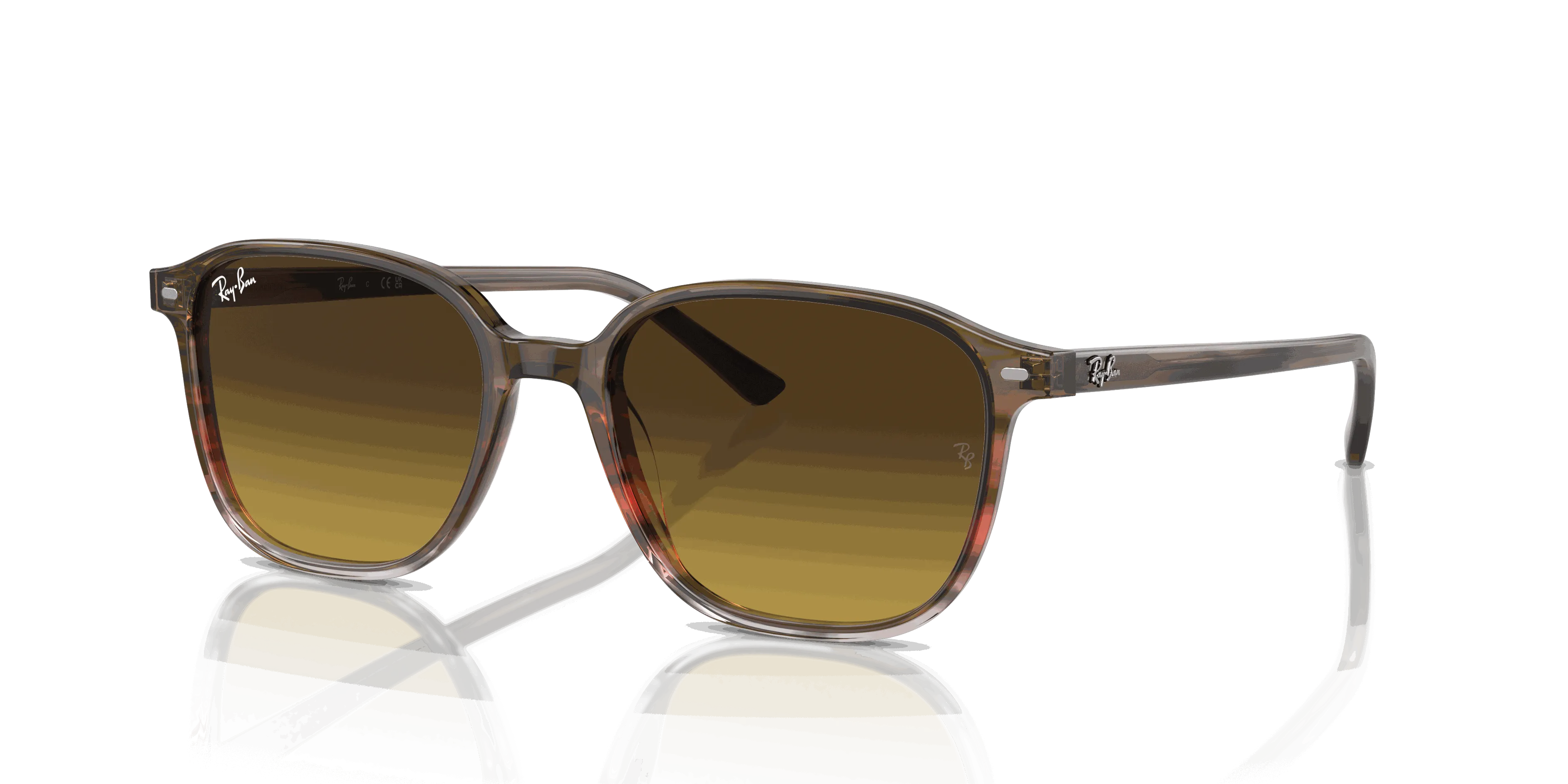 RayBan LEONARD