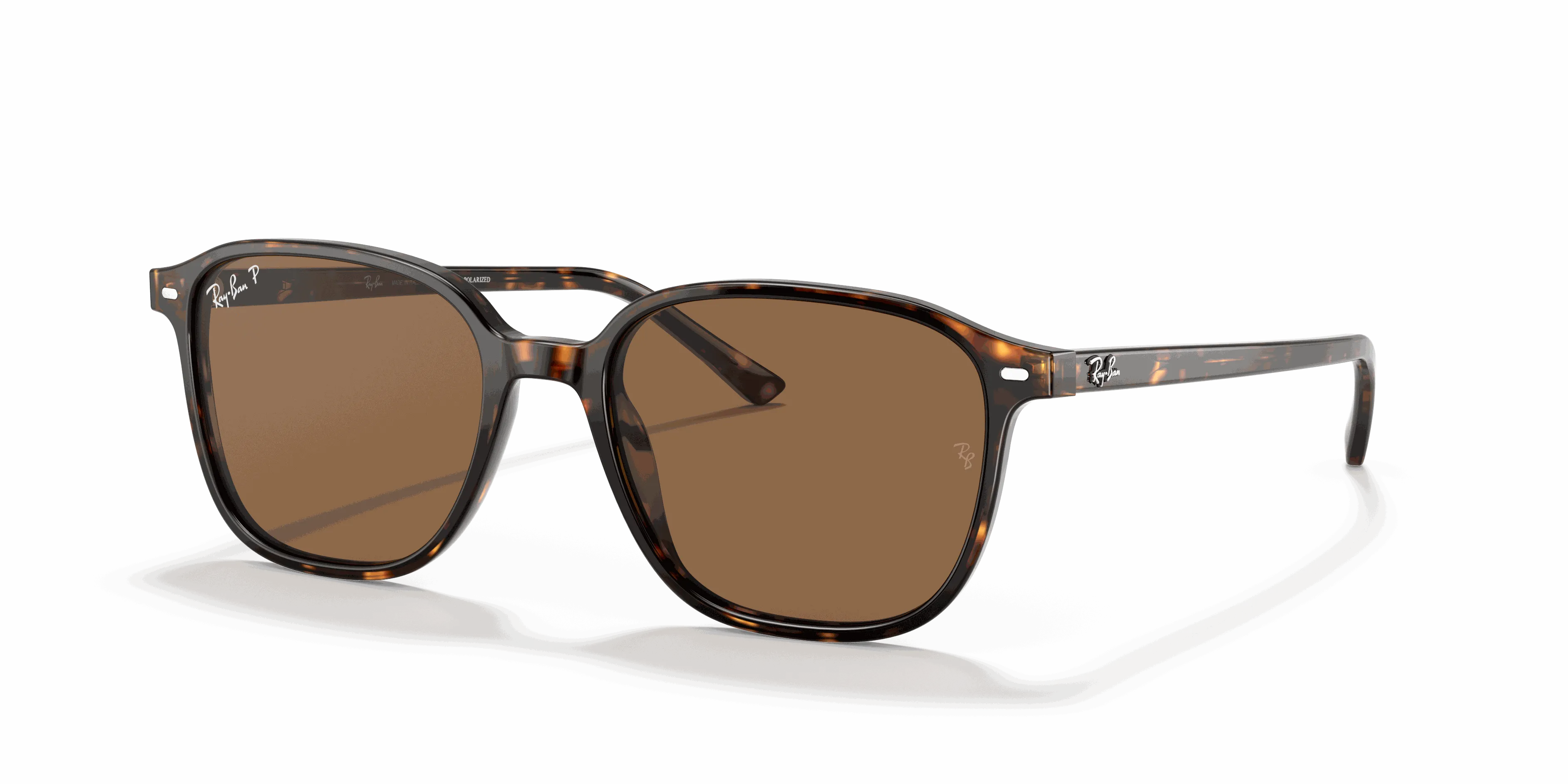 RayBan LEONARD
