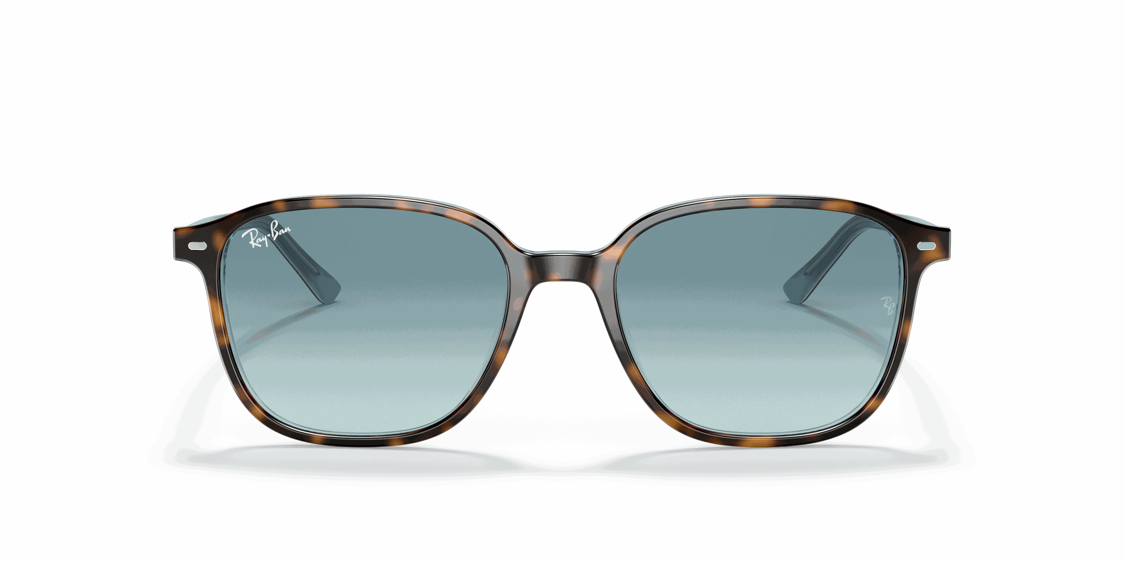 RayBan LEONARD