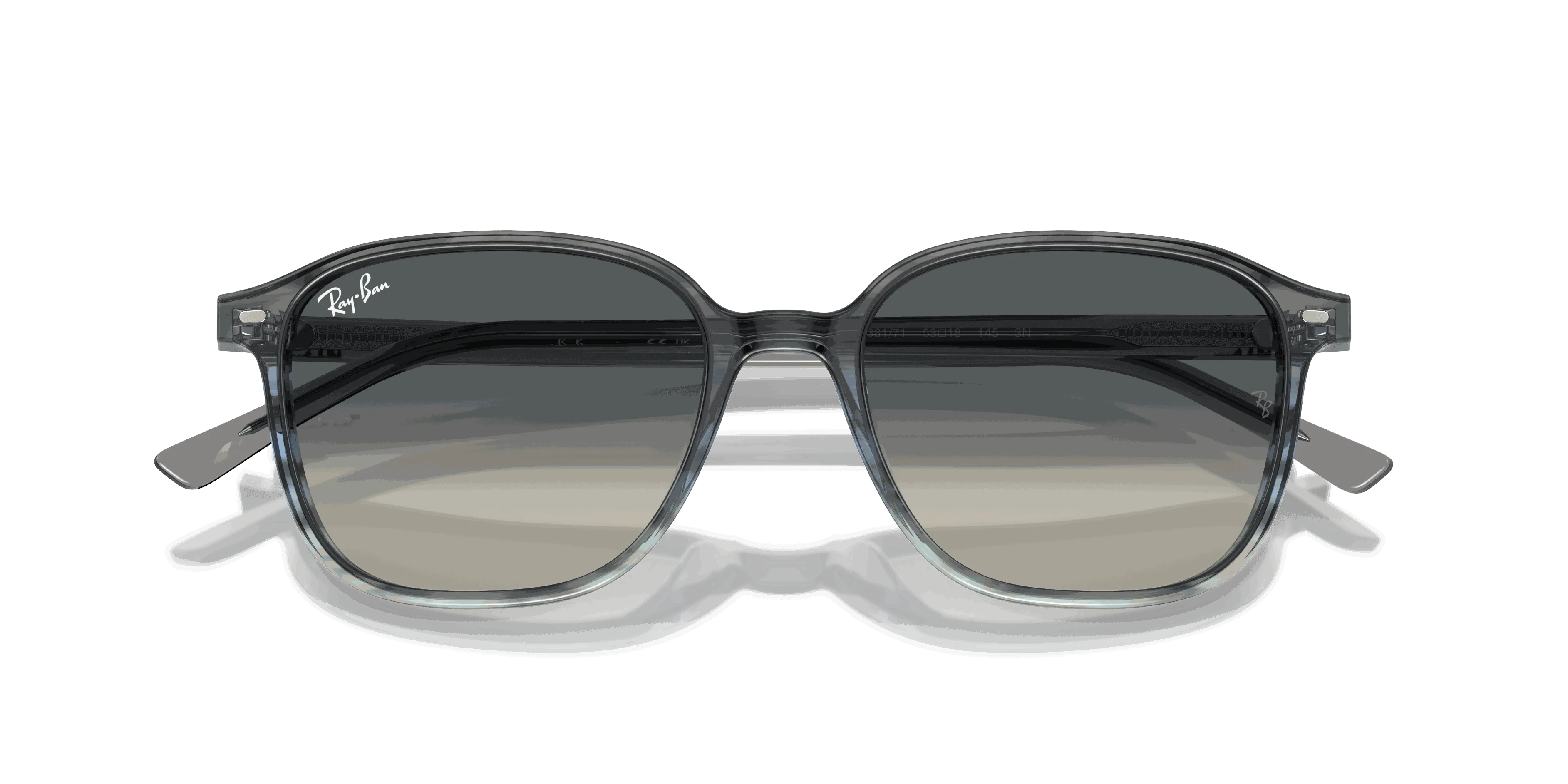 RayBan LEONARD