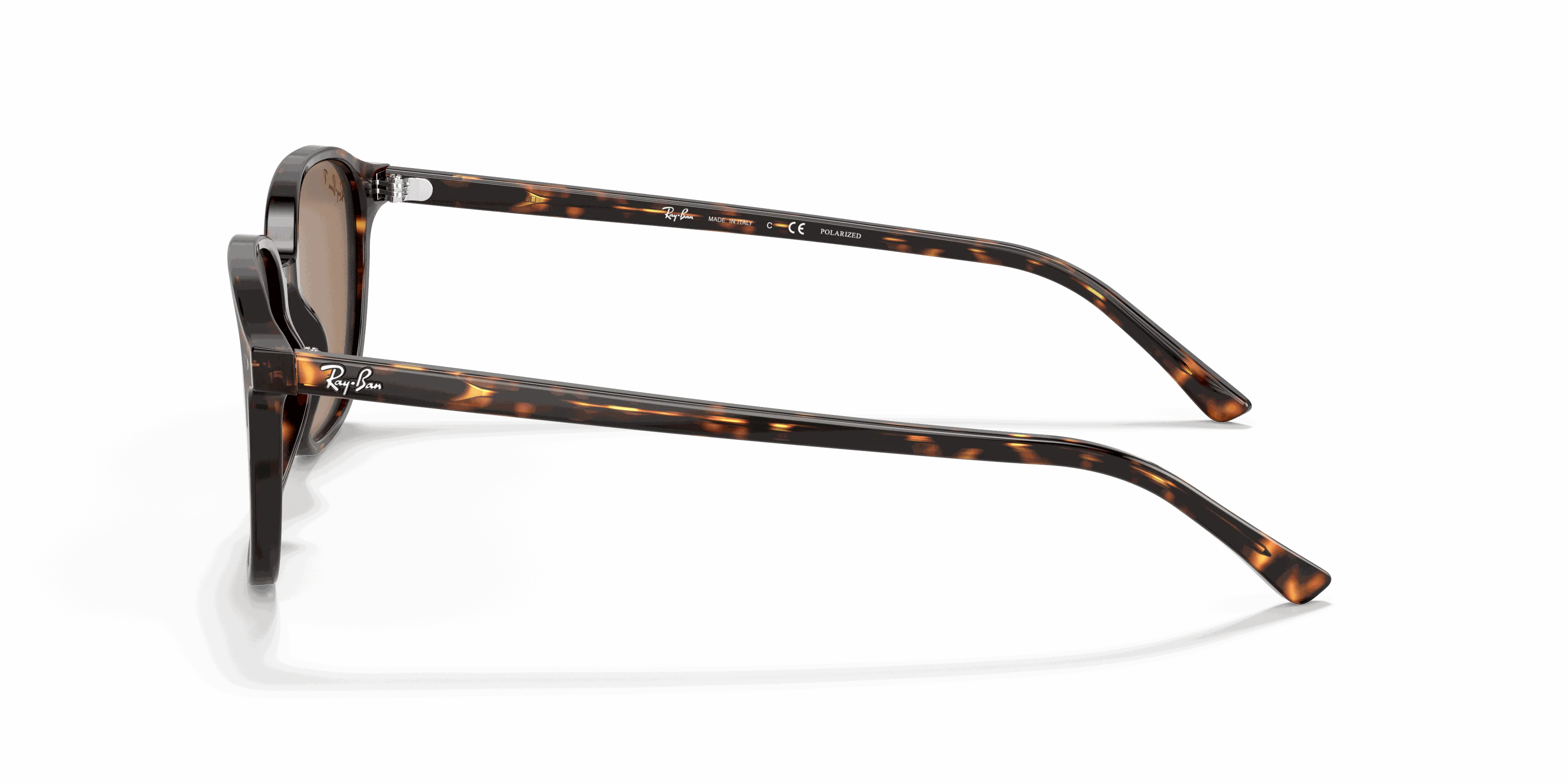 RayBan LEONARD