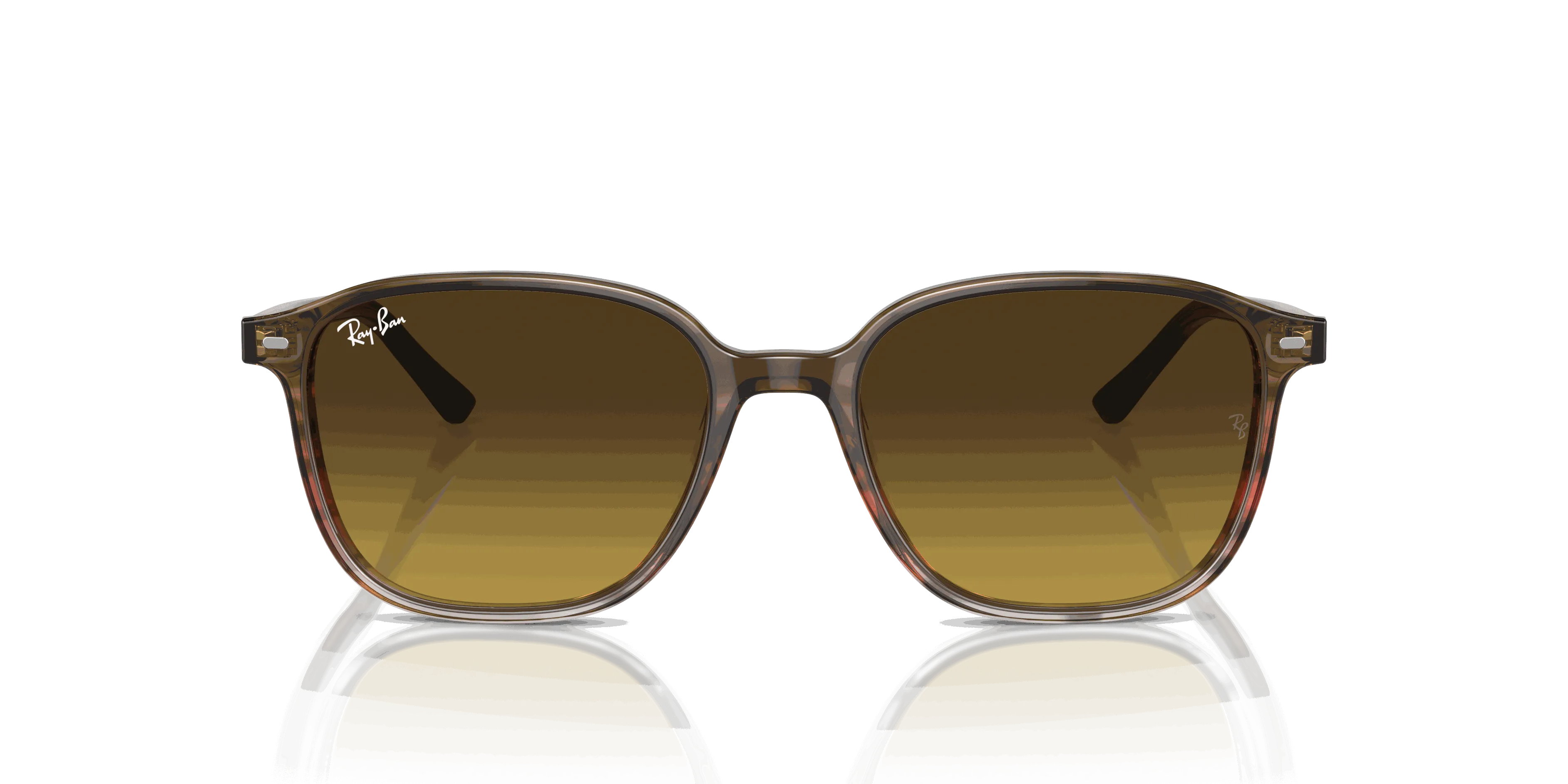 RayBan LEONARD