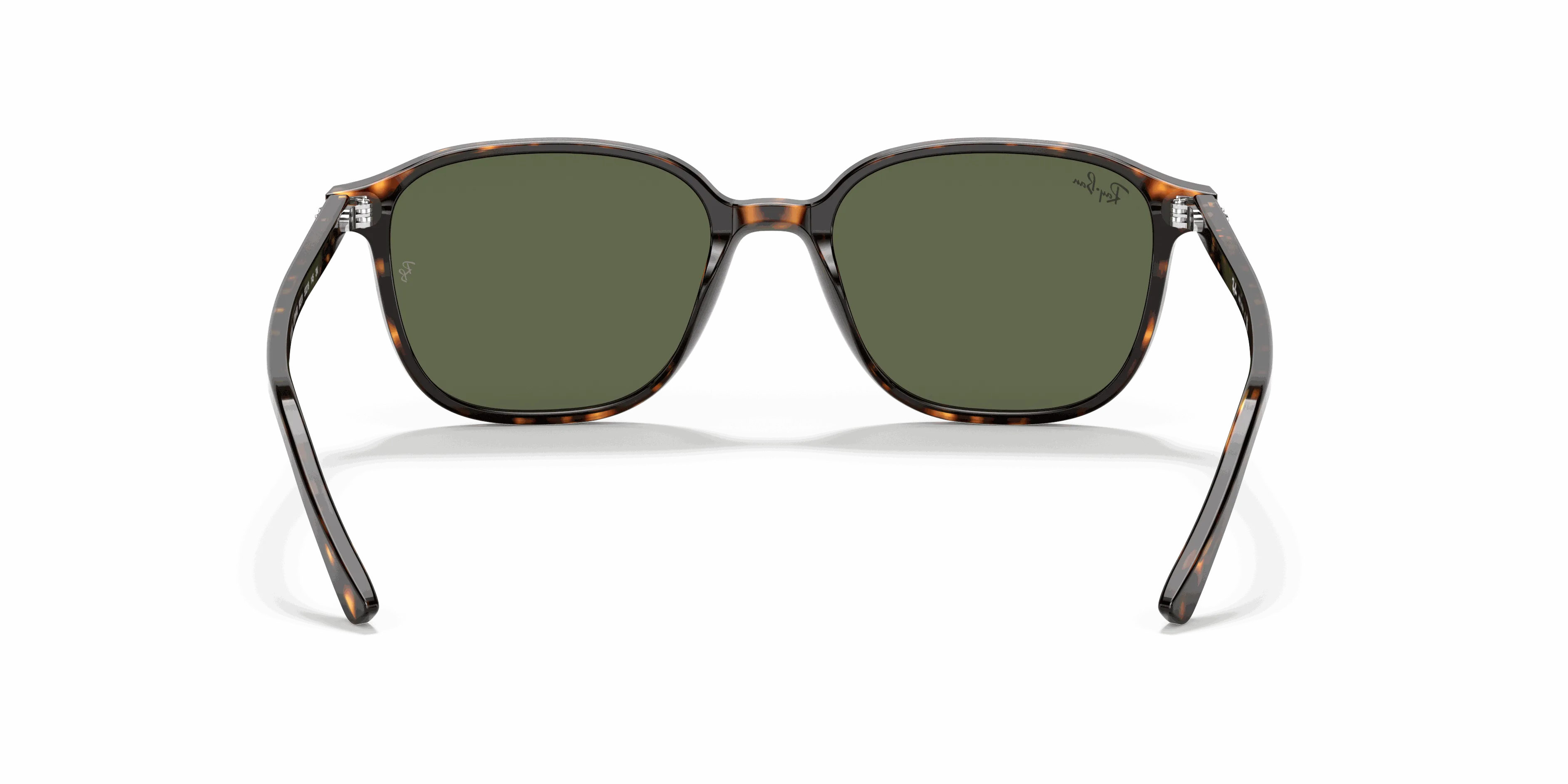 RayBan LEONARD