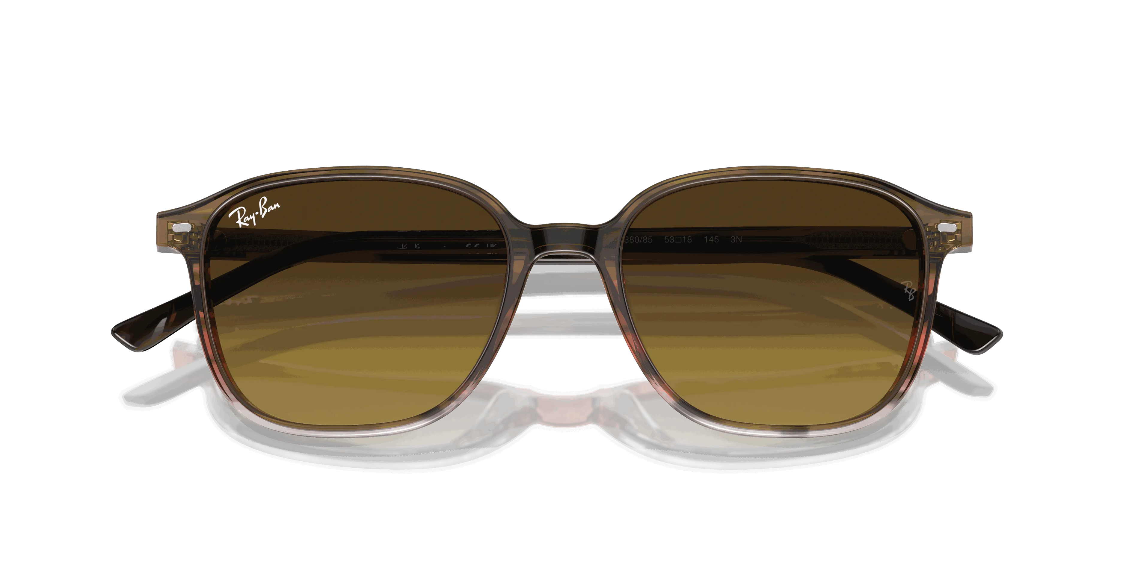 RayBan LEONARD