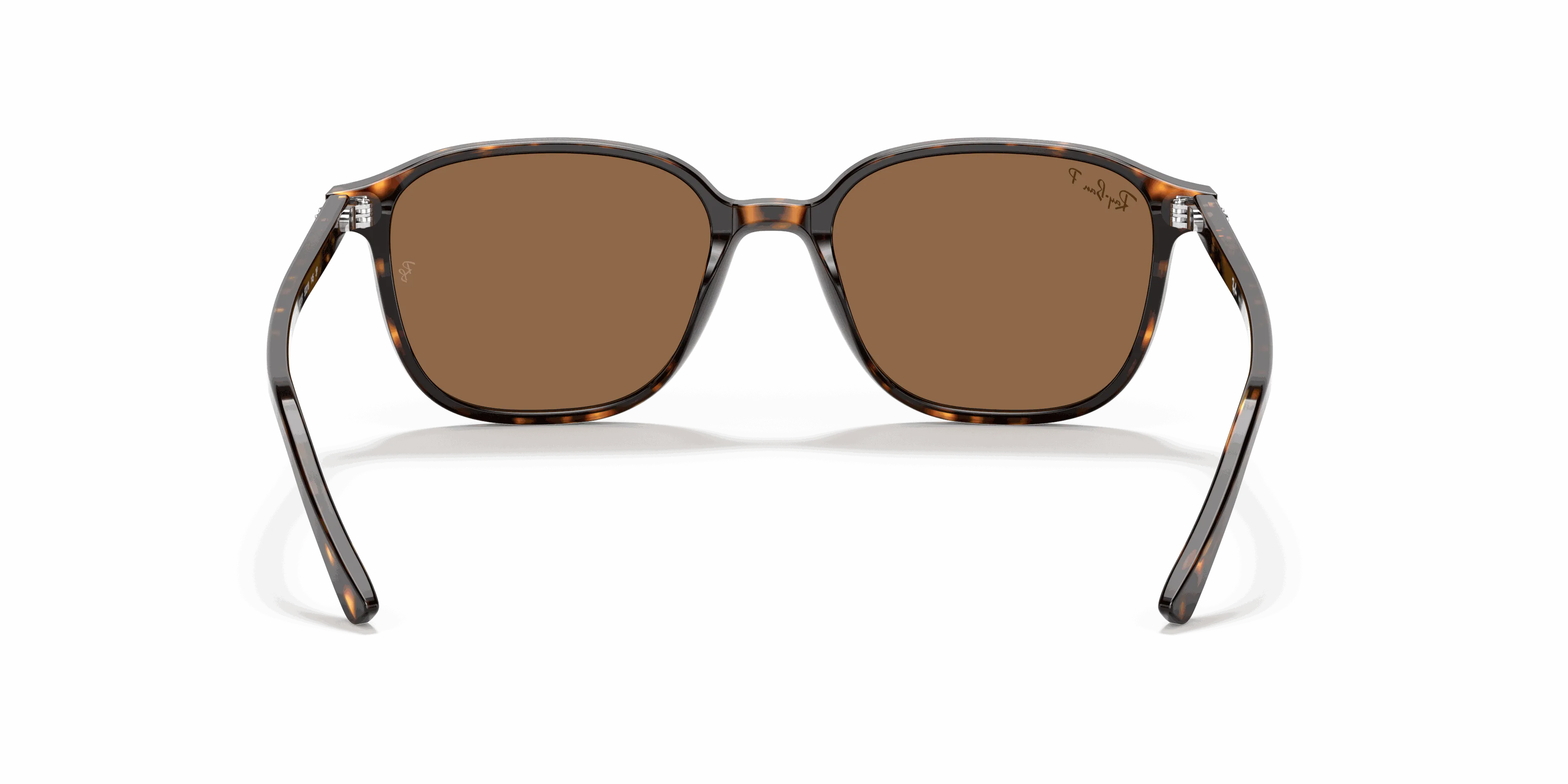 RayBan LEONARD