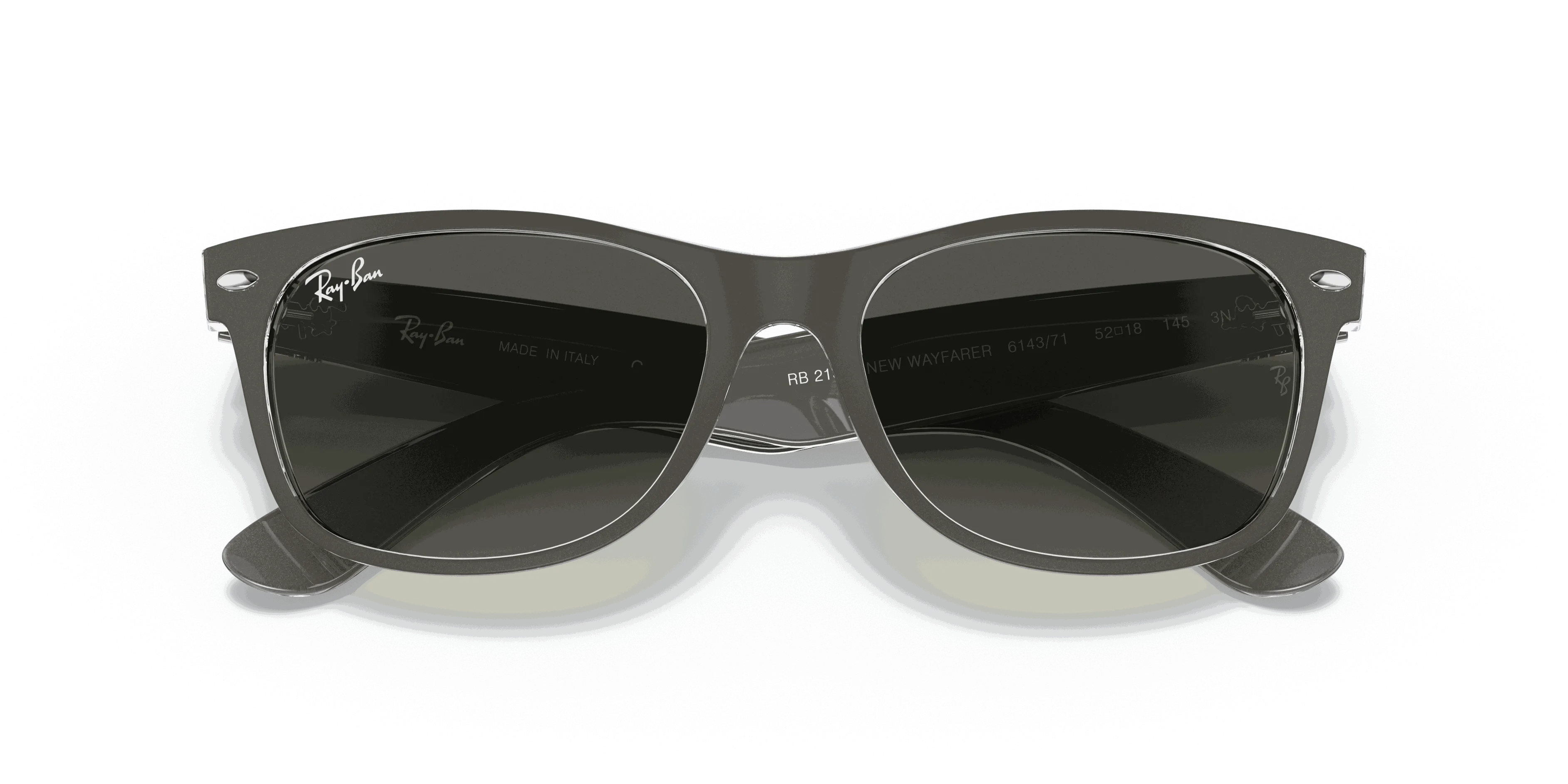 RayBan NEW WAYFARER COLOR MIX