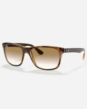 RB4181 Sunglasses in Brown