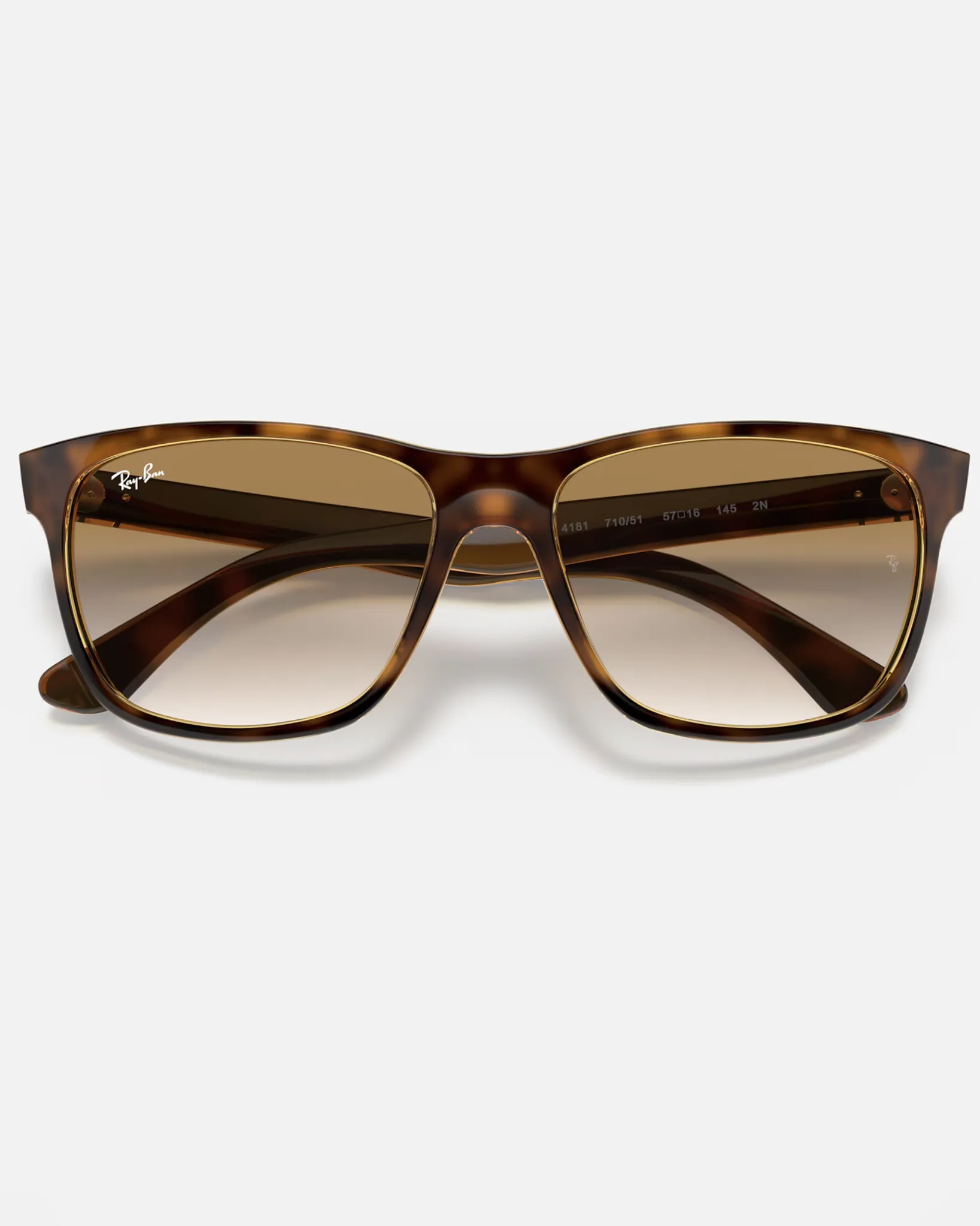 RB4181 Sunglasses in Brown