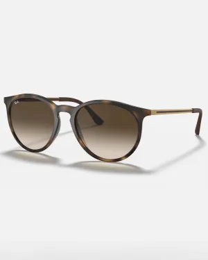 RB4274 Sunglasses in Brown