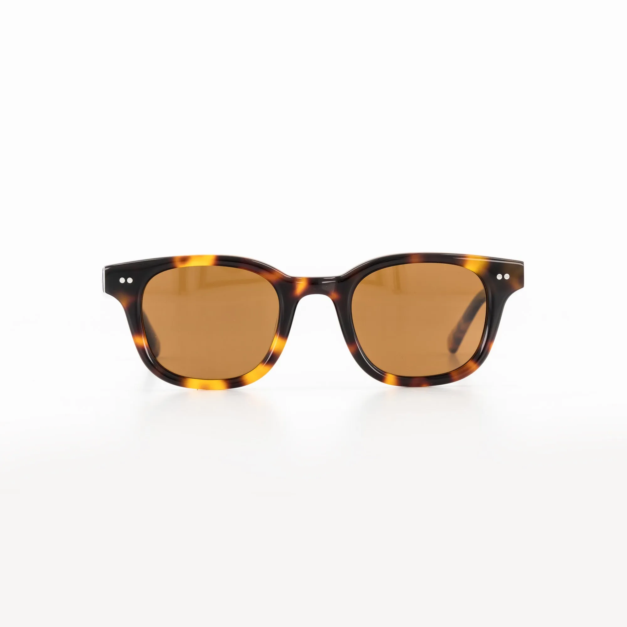 Rowli / Bio Acetate / Tortoise - Polarized
