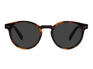 Tawny Tortoiseshell